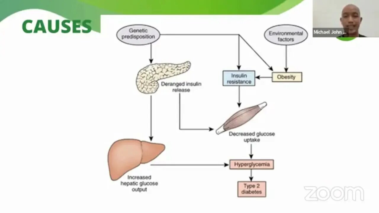 Amazing Pure Organic Barley X Diabetes Mellitus