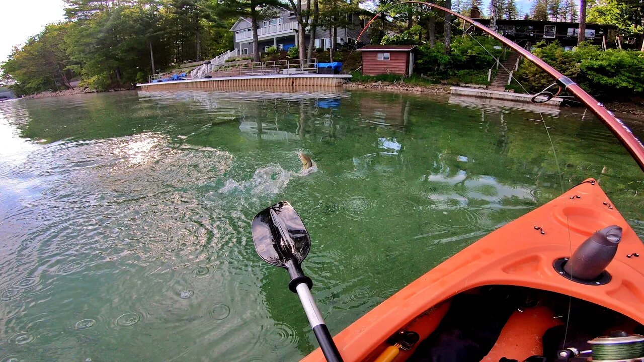 Smallmouth Bass Caught from a Kayak (Catch and Release)