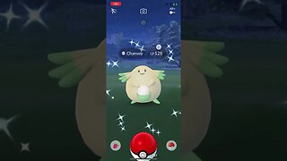 Shiny Compilation