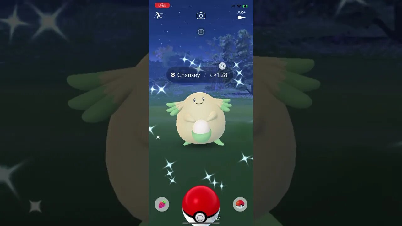Shiny Compilation