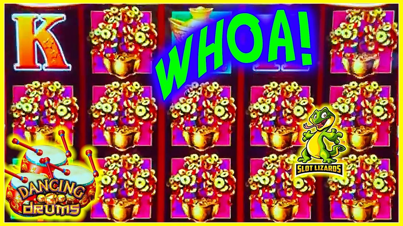 MONEY TREE MADNESS!!! HUGE MYSTERY COMEBACK WIN! Dancing Drums Slot LIVESTREAM HIGHLIGHT!