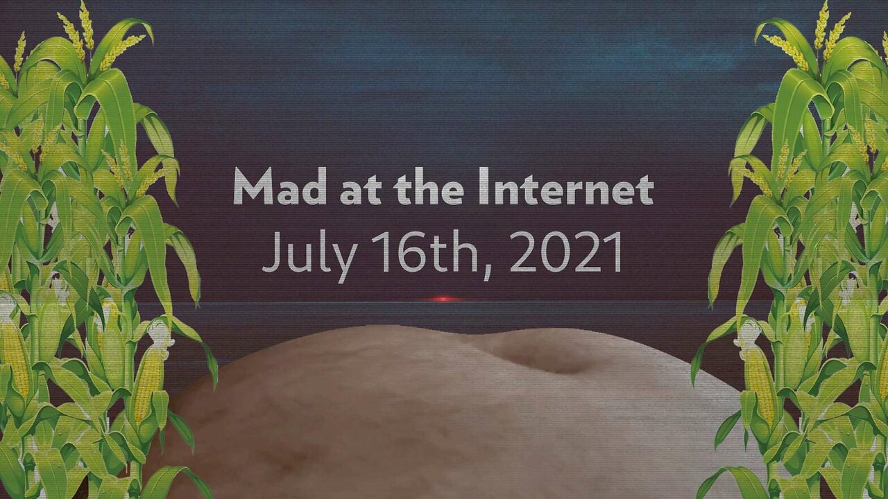 2021-07-16 - Ethan Ralph will Flag this Stream - Mad at the Internet
