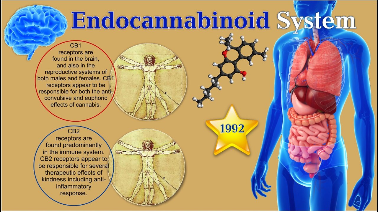 How CBD Can Change Your Life