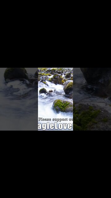 Celestial Star Families of the Lineage of Light