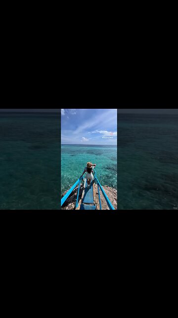 Aruba is where it’s at! #aruba #travel #adventure #beach #caribbean #onehappyisland #island