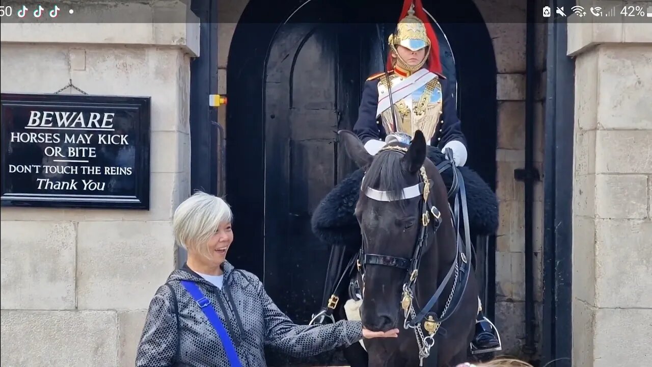 she came all way from Taiwan to see horse guards after watching kings guard videos