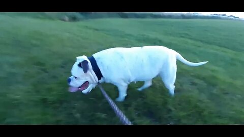 Famke en Winnie in Hemelum langs de autobaan bij het Fluessen meer.