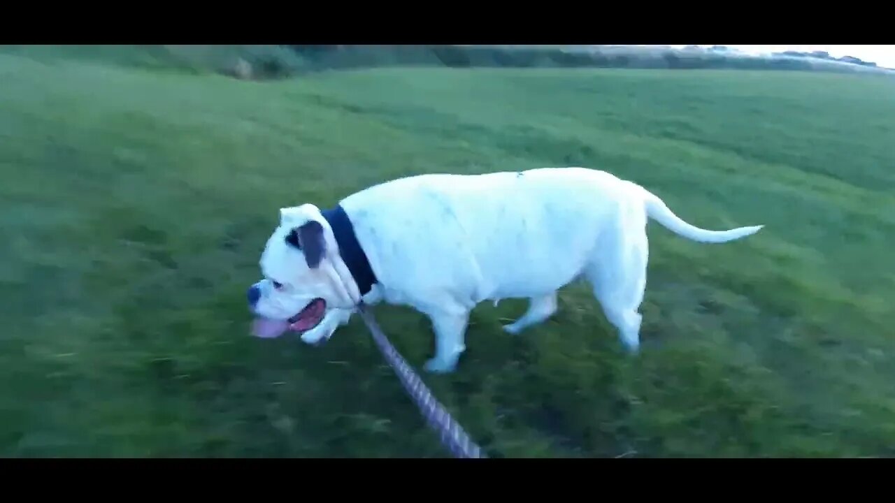Famke en Winnie in Hemelum langs de autobaan bij het Fluessen meer.