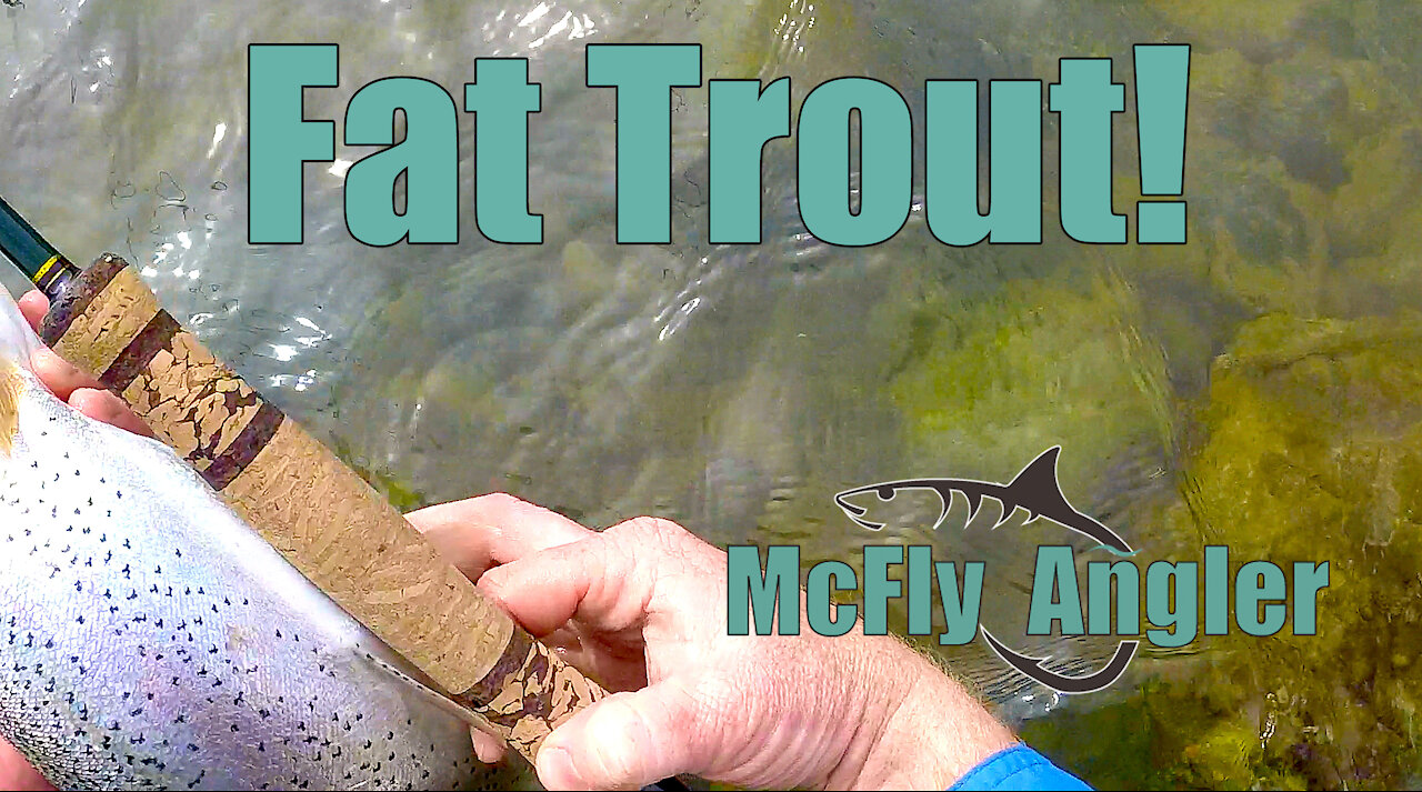 Why a Longer Rod? This proves its better for midges - McFly Angler Episode 13