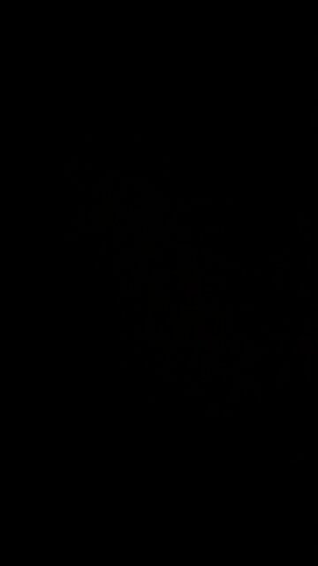 How to pronounce boardwalk