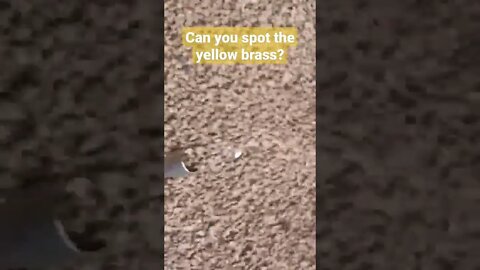 Can You Spot The Yellow Brass?