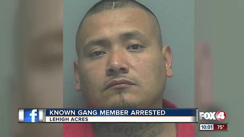 Known Gang Member Arrested in Lehigh Acres