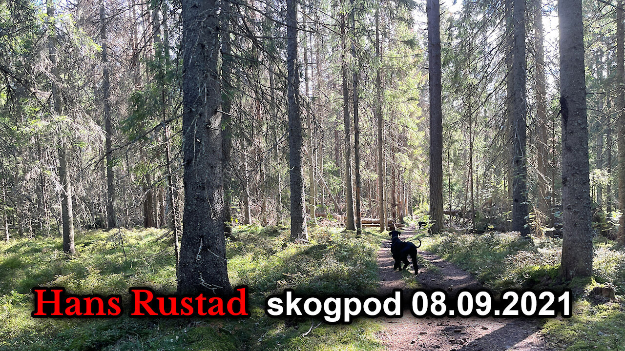 Skogpod 8. september: Krist og Anti-Krist