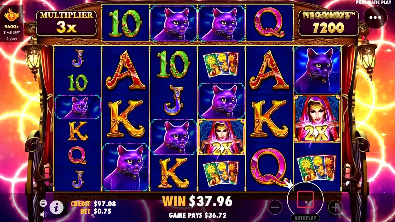 MADAME DESTINY BONUS .60