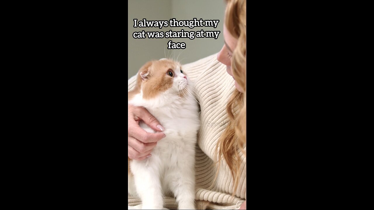 SCARY REAL SKINWALKER WITHOUT A BODY IS HAUNTING THIS CAT