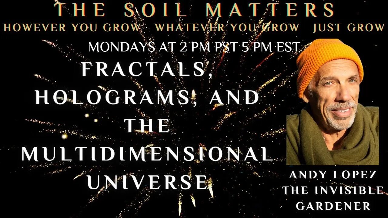 Fractals, Holograms, And The Multidimensional Universe