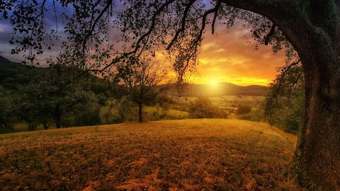 Nature with peaceful and calm sound