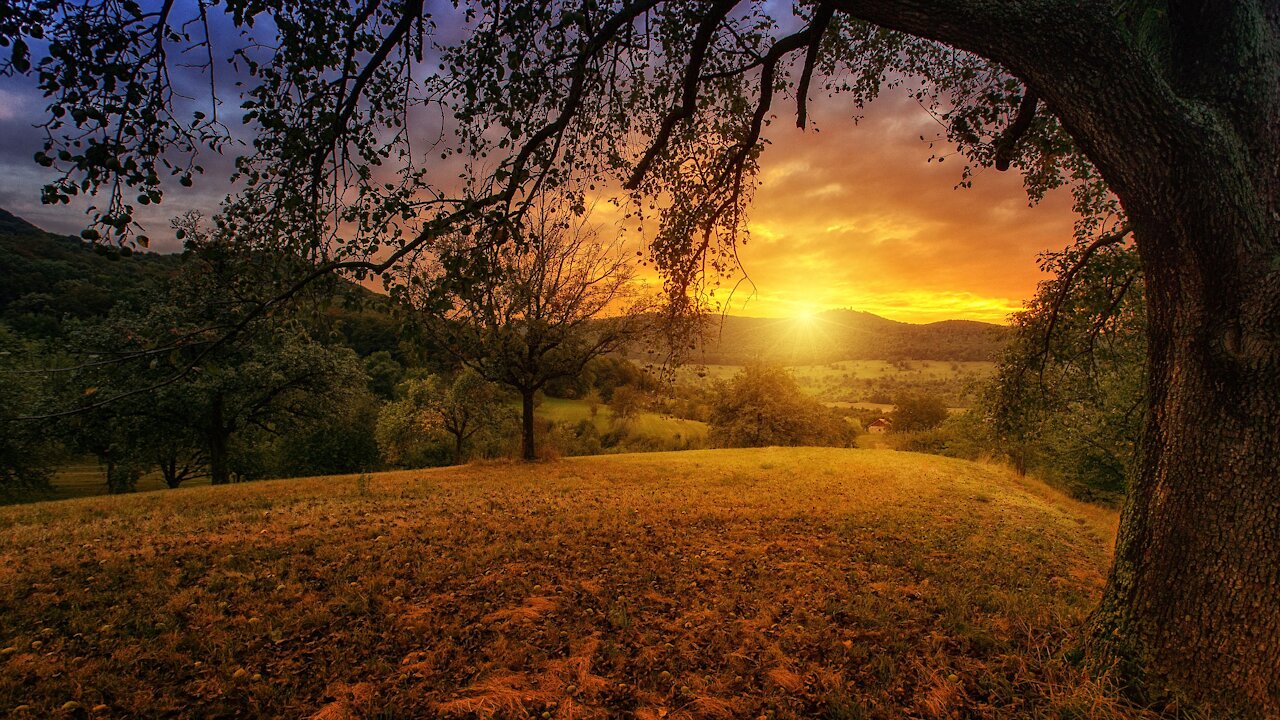 Nature with peaceful and calm sound
