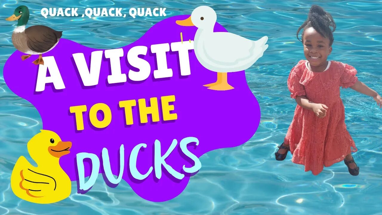 A Visit to The Ducks!