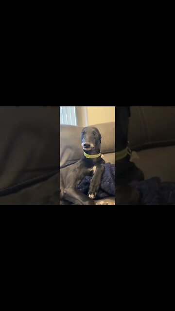 When the wife leaves the heating on all night. That’s how I wake up