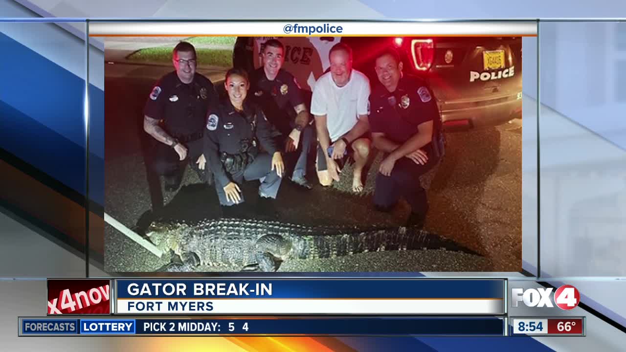 Alligator busts through screens on Fort Myers lanai