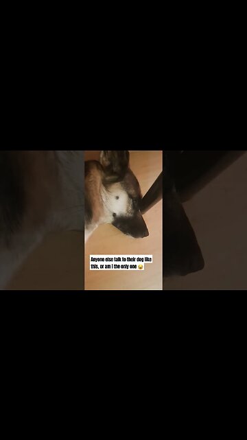 Baby Talk With Maple