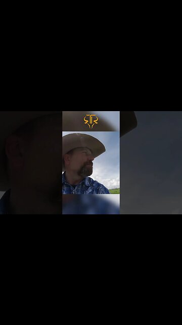 Horse in Quicksand like Bog