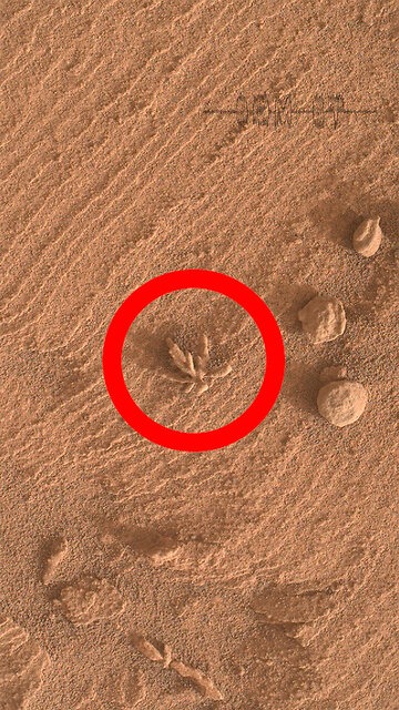 Som ET - 58 - Mars - Curiosity Sol 3396 - Video 1