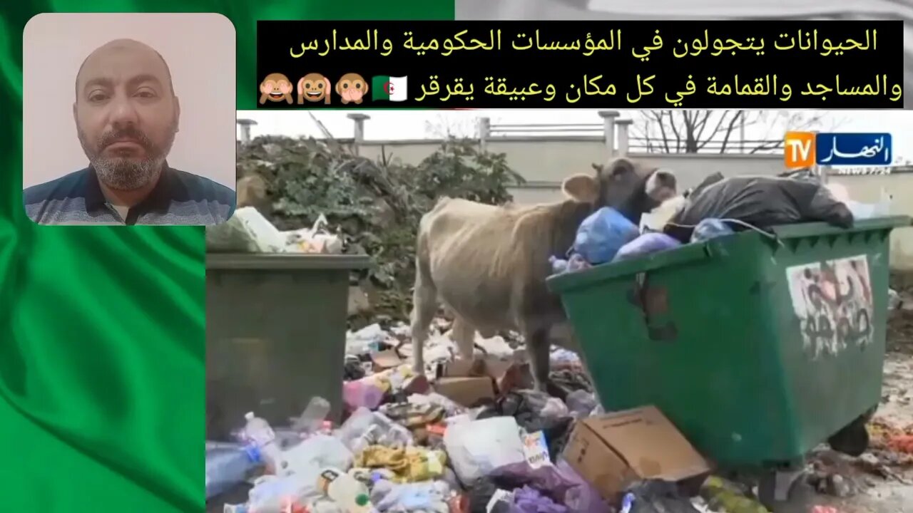 الحيو.انات يتجو.لون في المؤسسات الحكومية والمدارس والمساجد والقما.مة في كل مكان وعبقيقة يقرقر 🇩🇿🙊🙉🙈