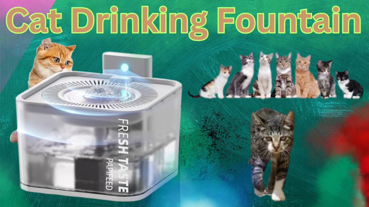 The Cat Drinking Fountain Guide For Everyone