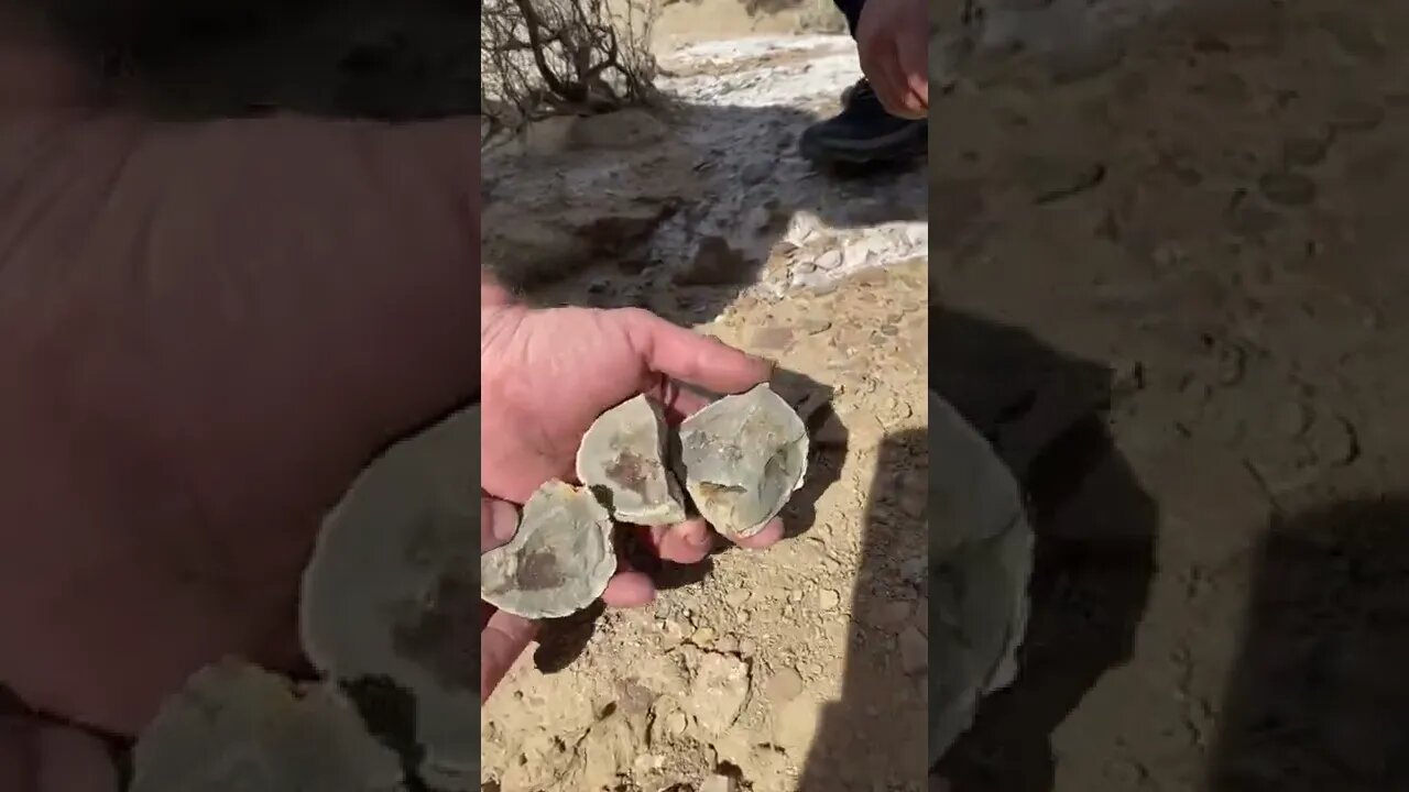 Geode hunting in California’, 👀 look at this!