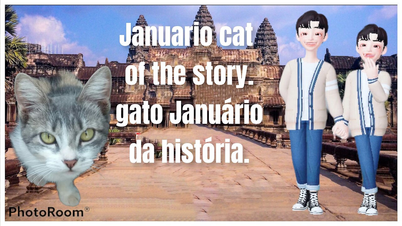 gato Januário conta sua própria história/cat Januário