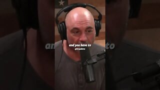 Joe Rogan - Plan #joerogan #strategy #inspiration #motivation #sidehustle #business #shorts #short