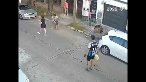 German Shepherd DOG attacked the neighbor's pet Poodle (02/01/2022) Argentina caught in CCTV camera