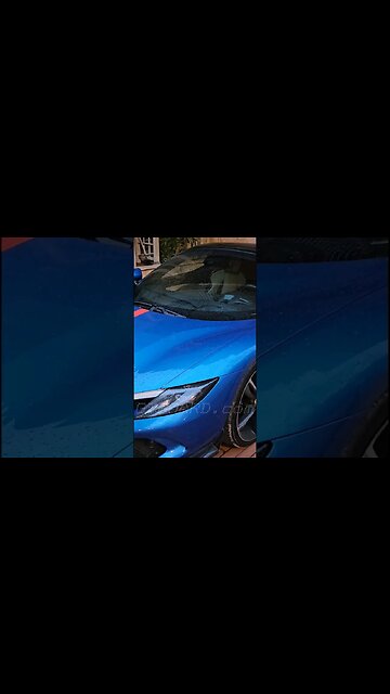 😱Beauty of Monaco, yachts and Ferrari 296 GTB #ferrari #296 #296gtb #monaco #montecarlo #riviera