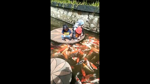 Feeding fish 🐠