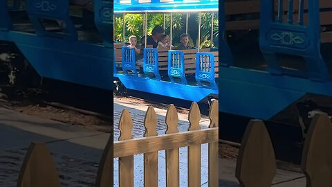 Train Ride Zoo