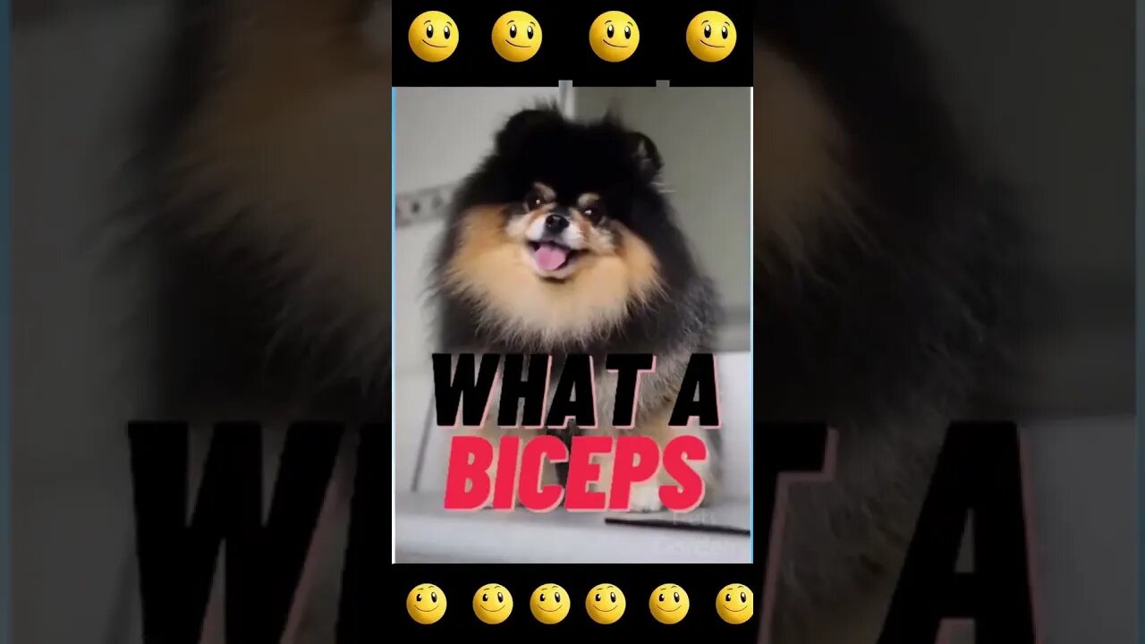 Dog Biceps #shorts #gym #workout #dog