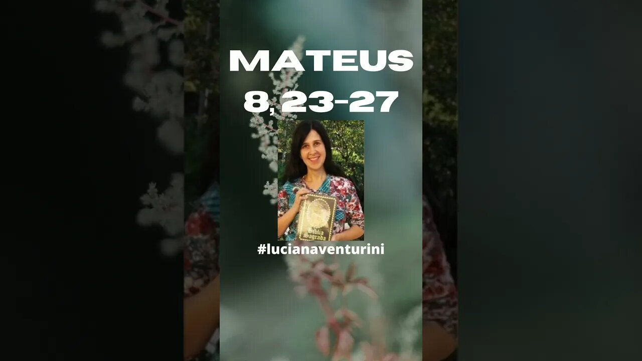 Mateus 8, 23-27 A tempestade acalmada #shorts #lucianaventurini #evangelhodemateus