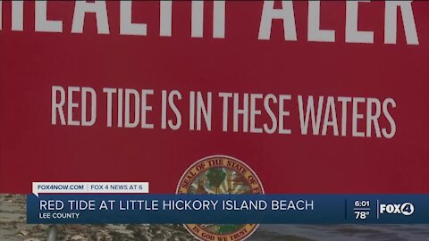 Red tide health warning in Bonita Springs