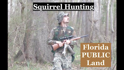 Squirrel Hunting: Chasing bushy tails in the Florida hardwoods