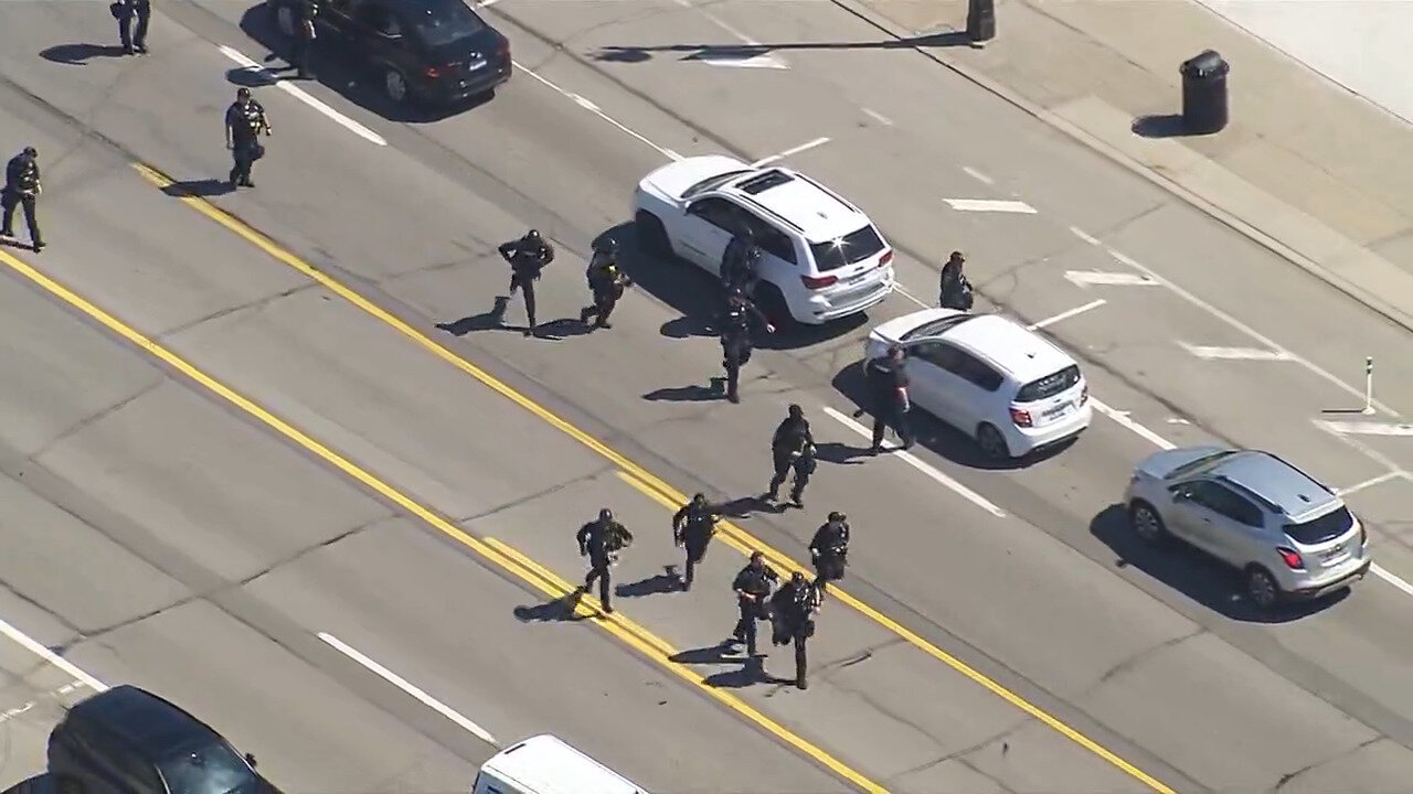 Pro-Hamas Protesters Chased Down And Arrested As They Tried To Shut Down Ambassador Bridge To Canada