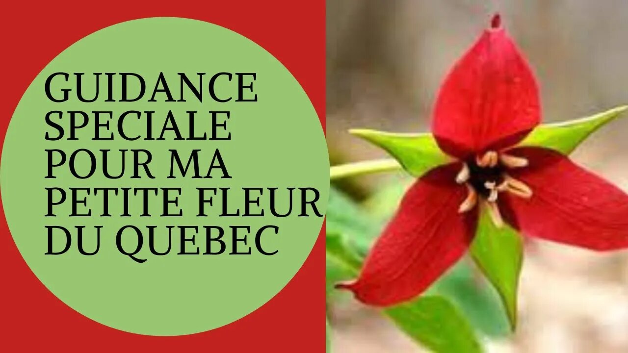 #GUIDANCE POUR MA PETITE FLEUR QUEBECOISE ... TOUT VA BIEN