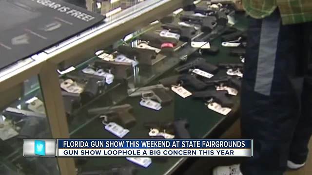 Gun show loophole a big concern this year