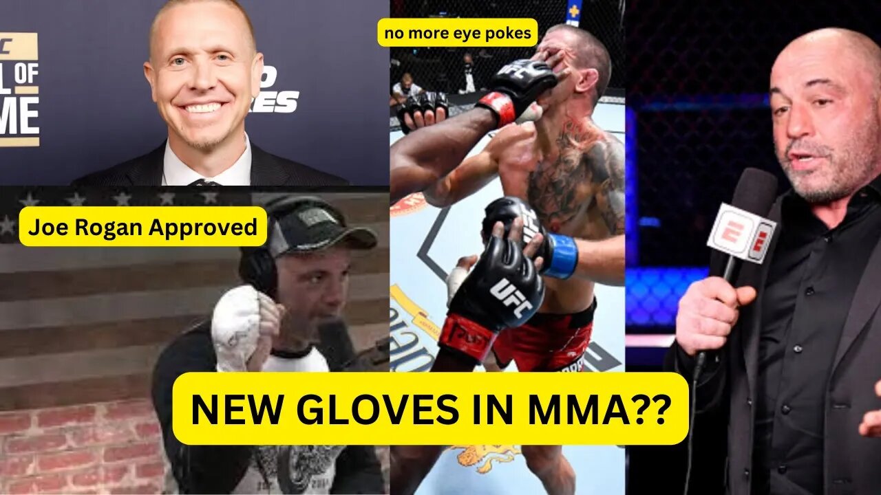 New Gloves For MMA || Joe Rogan Approved || End To Eye Pokes