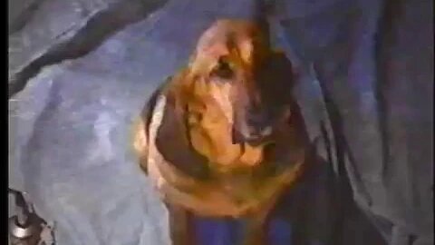 Learning Channel commercial break (1997) Part 37