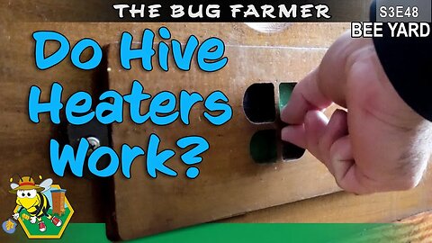 Heated Beehive Update | How are they doing? #beekeeping