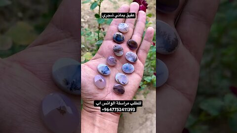 عقيق يماني شجري