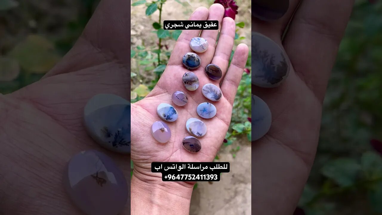 عقيق يماني شجري