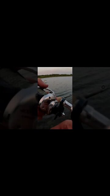 I Missed A Nice Musky #shorts